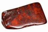 Polished Stromatolite (Collenia) - Minnesota #104421-1
